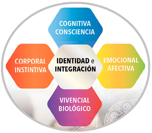 esquema-formacion-escuela